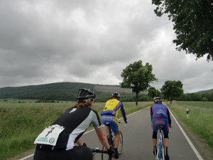 Devese 2010 045